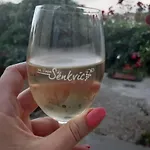In Winery House In Senkvice Apartmán *