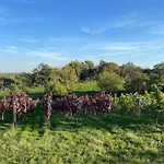 Апартаменты In Winery House In Senkvice