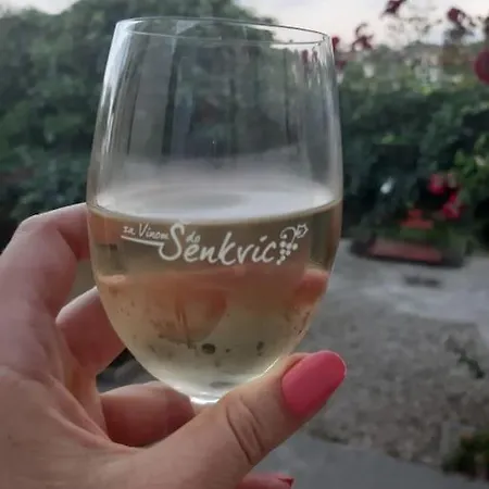 In Winery House In Senkvice 아파트 *