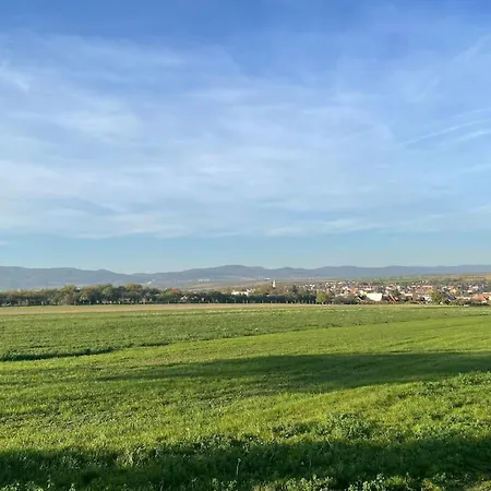 In Winery House In Senkvice 아파트