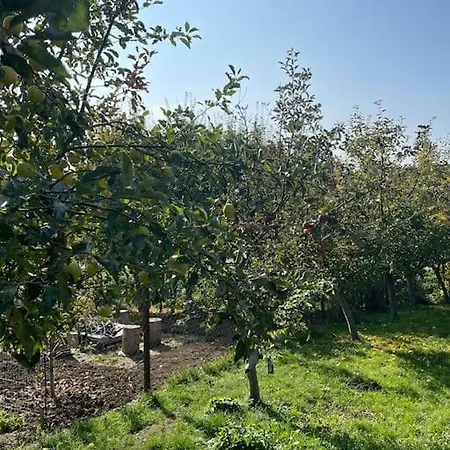 In Winery House In Senkvice 아파트 Velke Canikovce