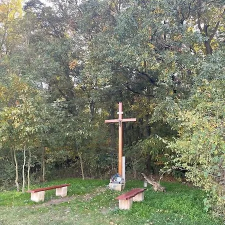 In Winery House In Senkvice Velke Canikovce