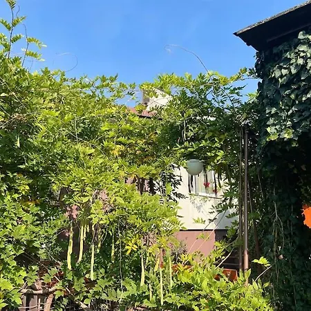 In Winery House In Senkvice * Velke Canikovce