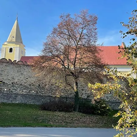 In Winery House In Senkvice