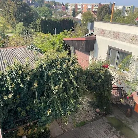 In Winery House In Senkvice 아파트