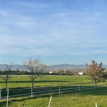 아파트 In Winery House In Senkvice