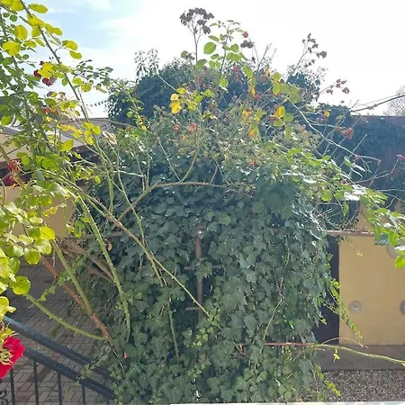 In Winery House In Senkvice