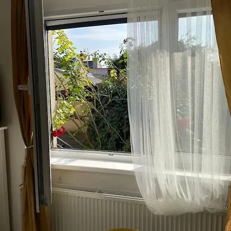 Apartment In Winery House In Senkvice