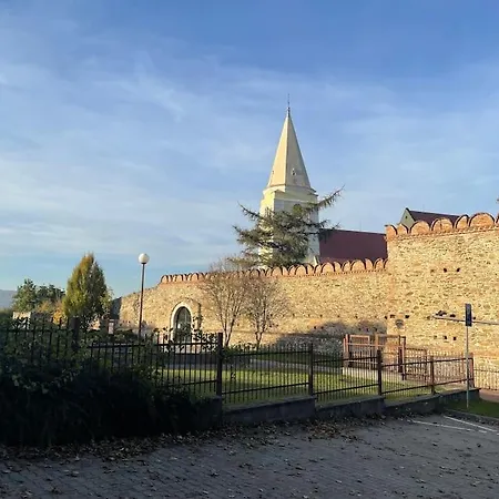 In Winery House In Senkvice *