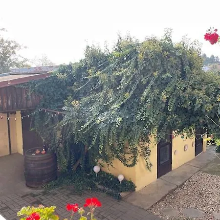 아파트 In Winery House In Senkvice