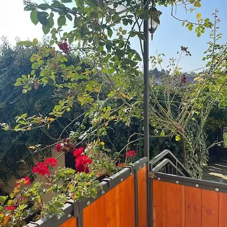 아파트 In Winery House In Senkvice *