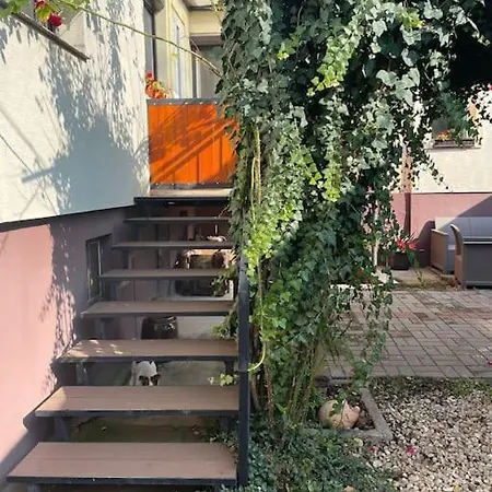 In Winery House In Senkvice