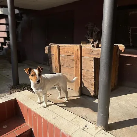 In Winery House In Senkvice 아파트