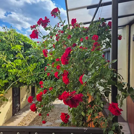 In Winery House In Senkvice Appartement Velke Canikovce