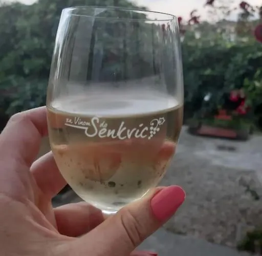 In Winery House In Senkvice Apartman *