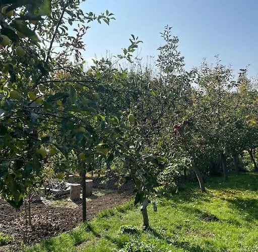 In Winery House In Senkvice Apartman Nagysenkőc