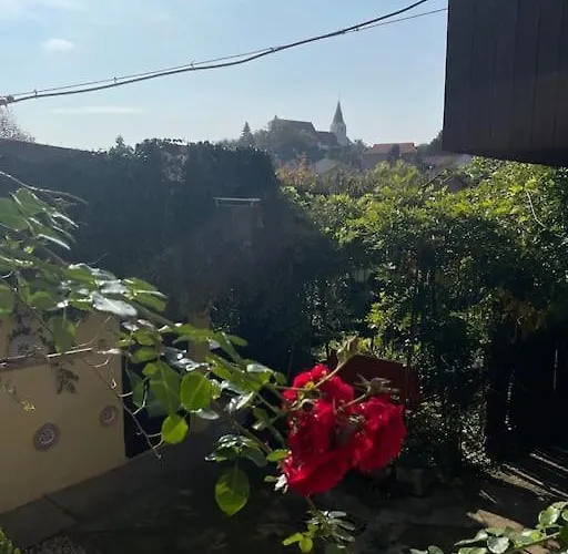 Apartman In Winery House In Senkvice Nagysenkőc
