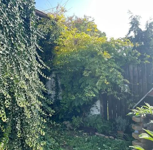 In Winery House In Senkvice Apartman