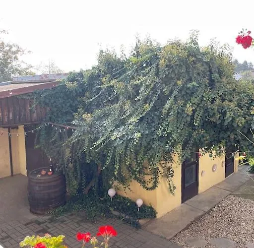 Apartamento In Winery House In Senkvice