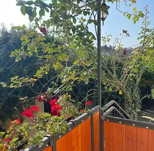 Apartman In Winery House In Senkvice *