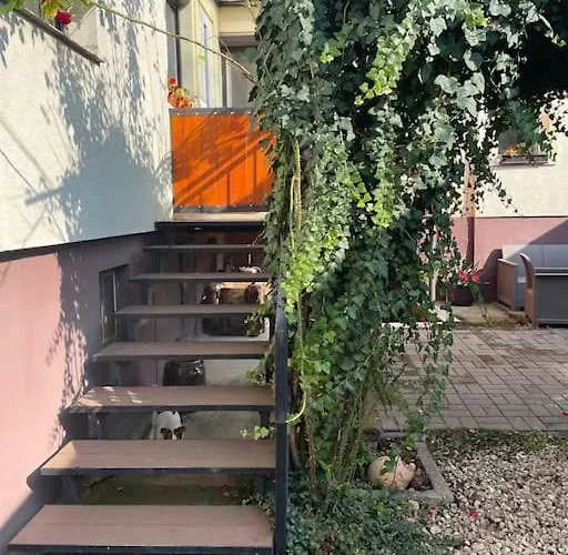 In Winery House In Senkvice